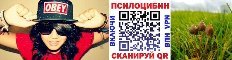Галлюциногенные грибы мицелий  Москва 